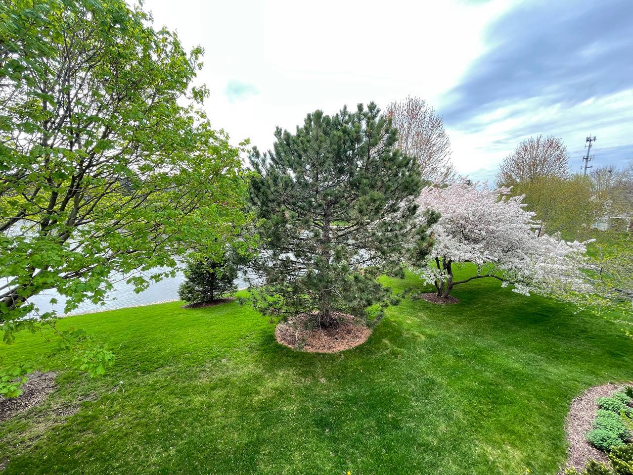2459 Sheehan Drive #201, Naperville, IL 60564