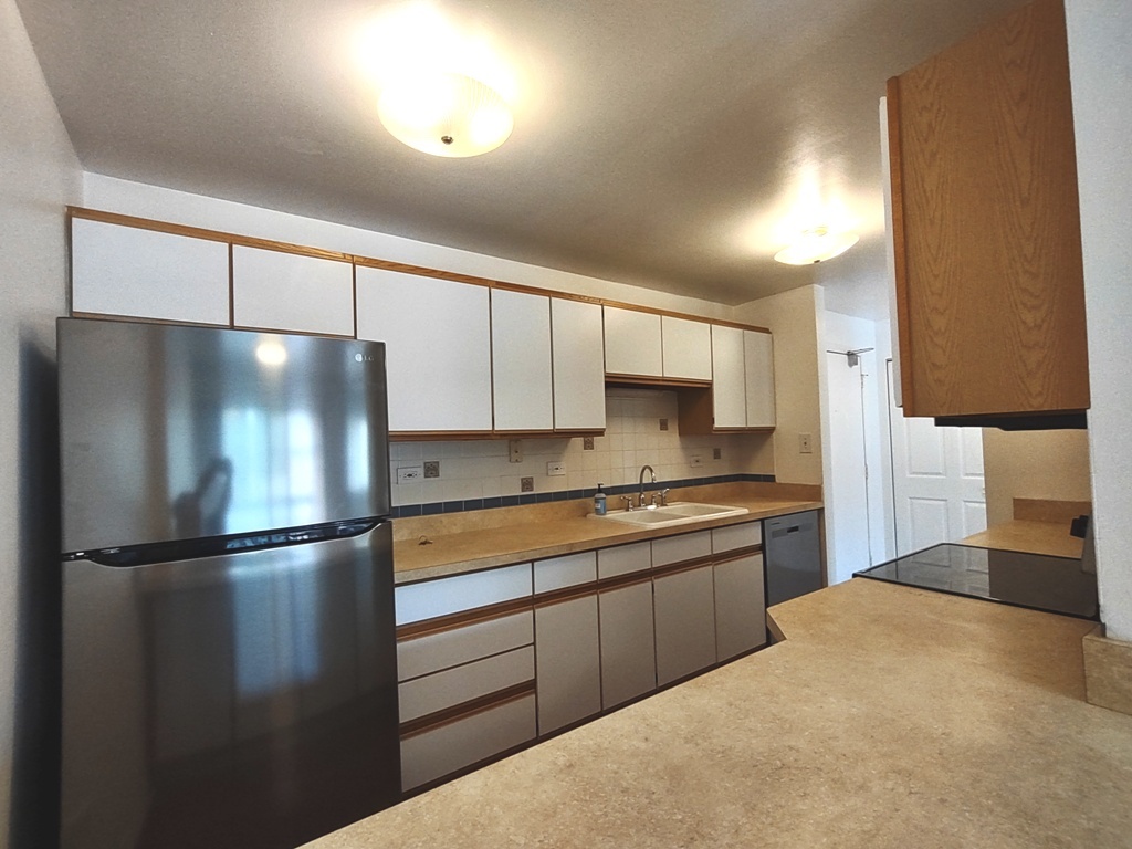 420 Home Avenue #207N, Oak Park, IL 60302