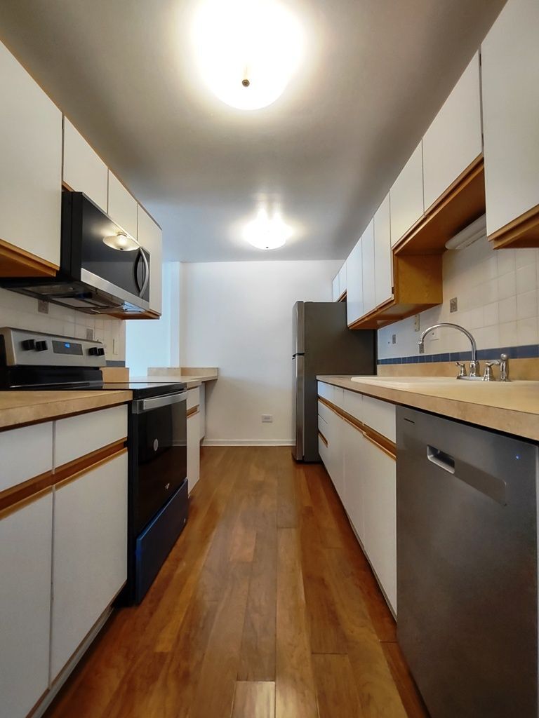 420 Home Avenue #207N, Oak Park, IL 60302
