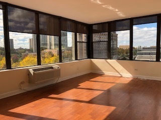 345 E Eastgate Place #203, Chicago, IL 60616