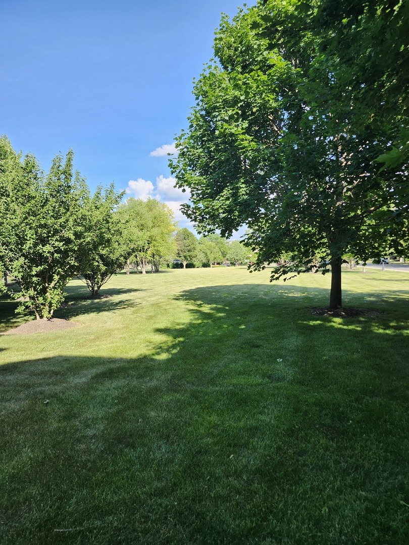 228 STATION PARK Circle, Grayslake, IL 60030
