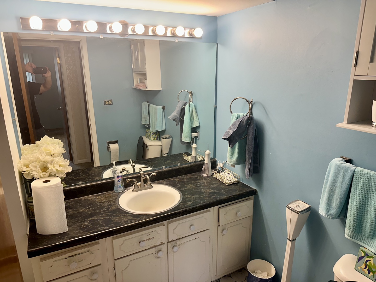 18506 Pierce Terrace, Homewood, IL 60430