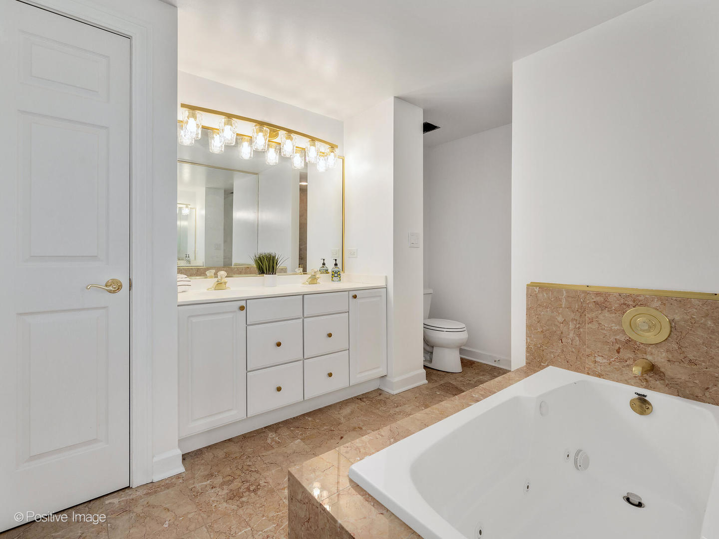 3525 Cass Court #409, Oak Brook, IL 60523