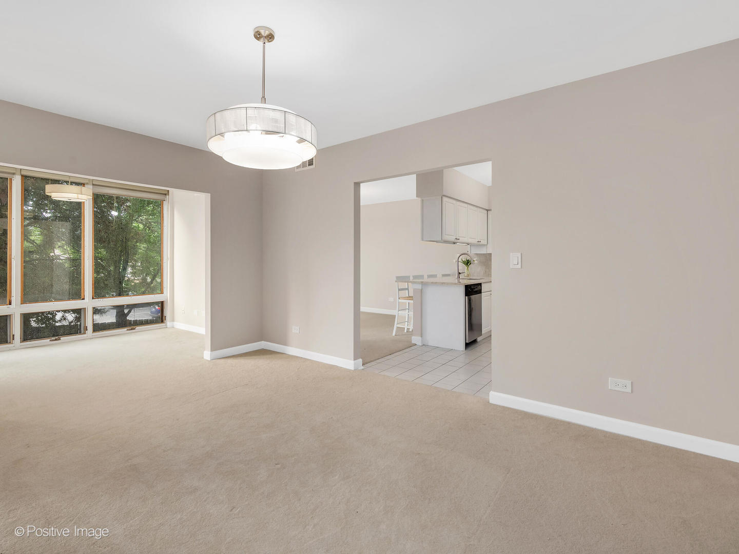 3525 Cass Court #409, Oak Brook, IL 60523