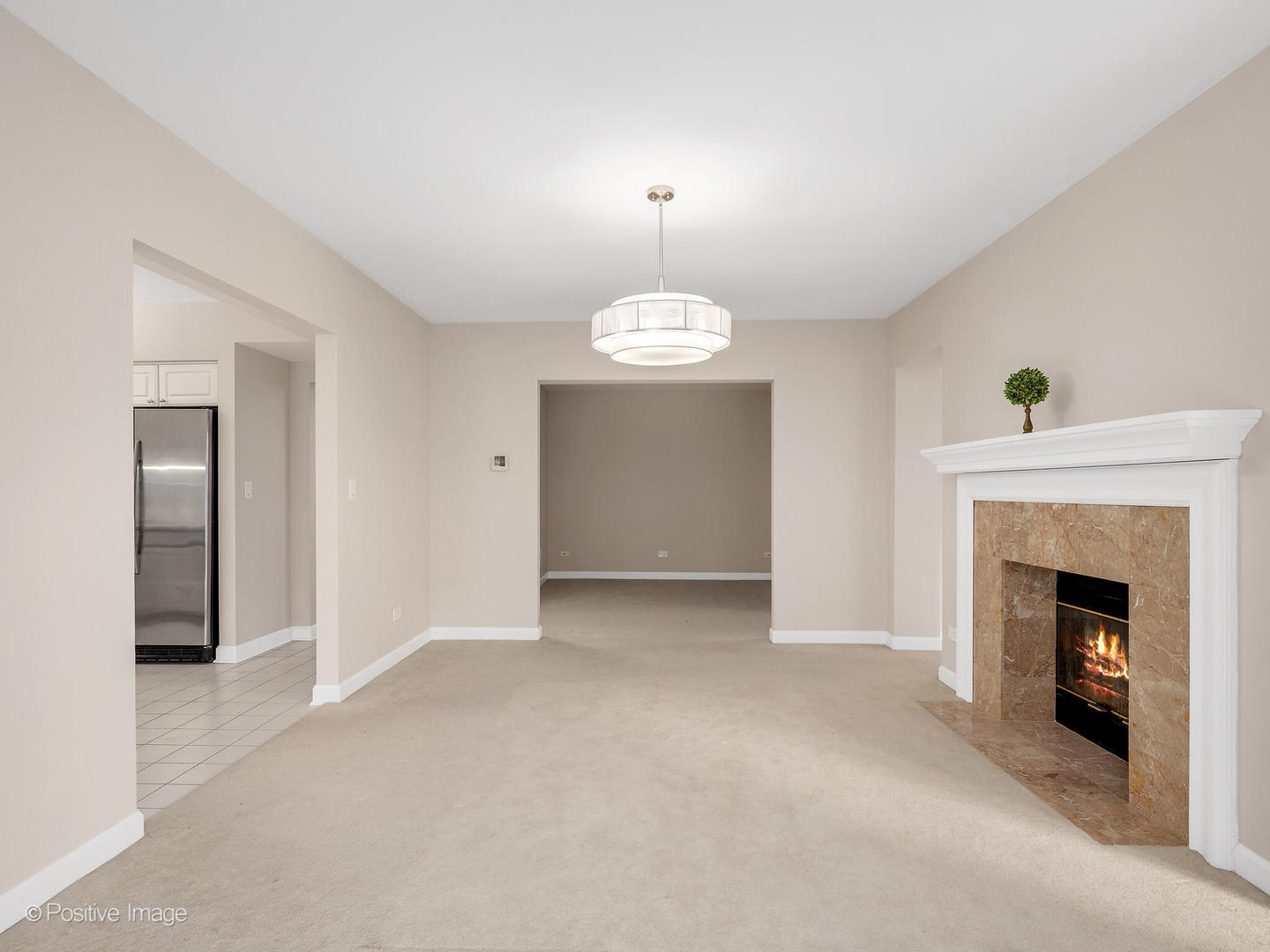 3525 Cass Court #409, Oak Brook, IL 60523