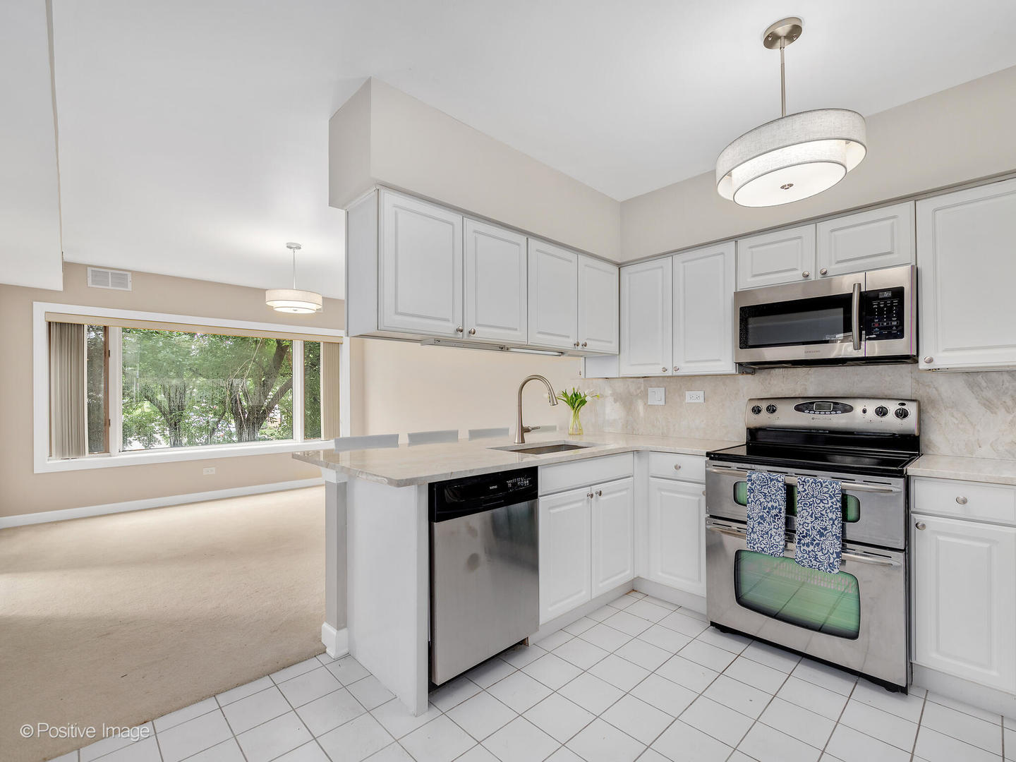 3525 Cass Court #409, Oak Brook, IL 60523