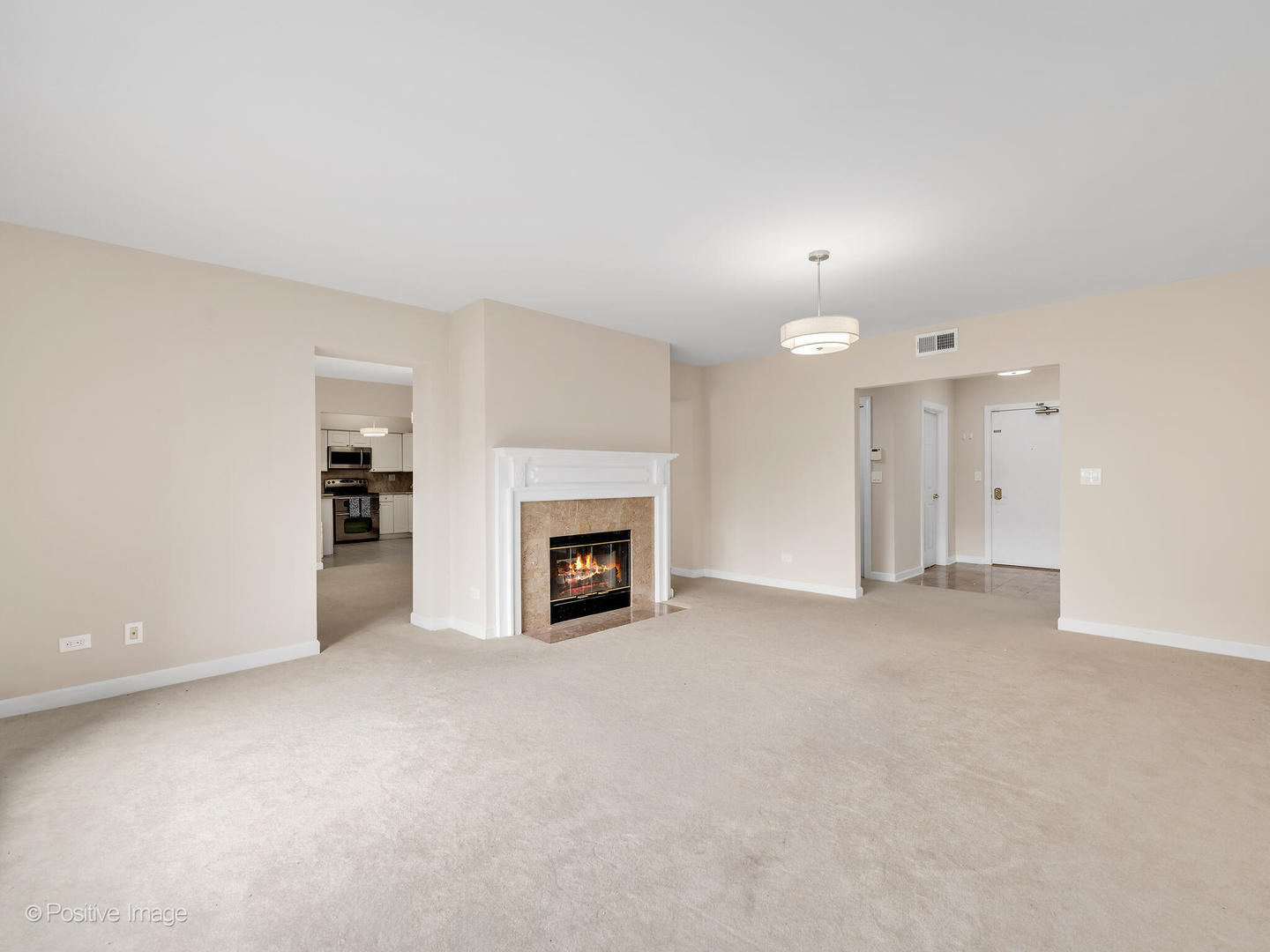 3525 Cass Court #409, Oak Brook, IL 60523