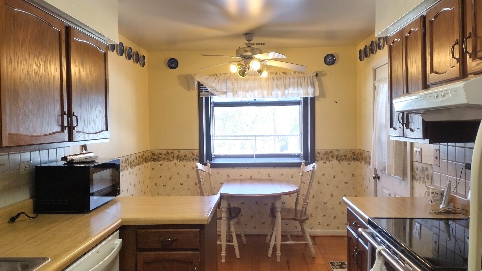 174 Grove Avenue #B, Des Plaines, IL 60016