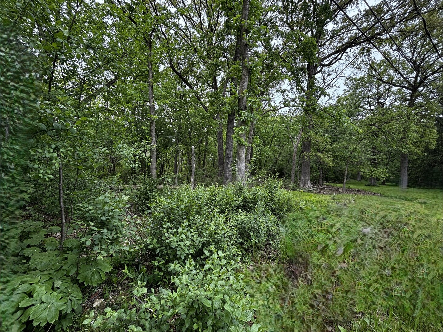 910 N Brainard Avenue, La Grange Park, IL 60526