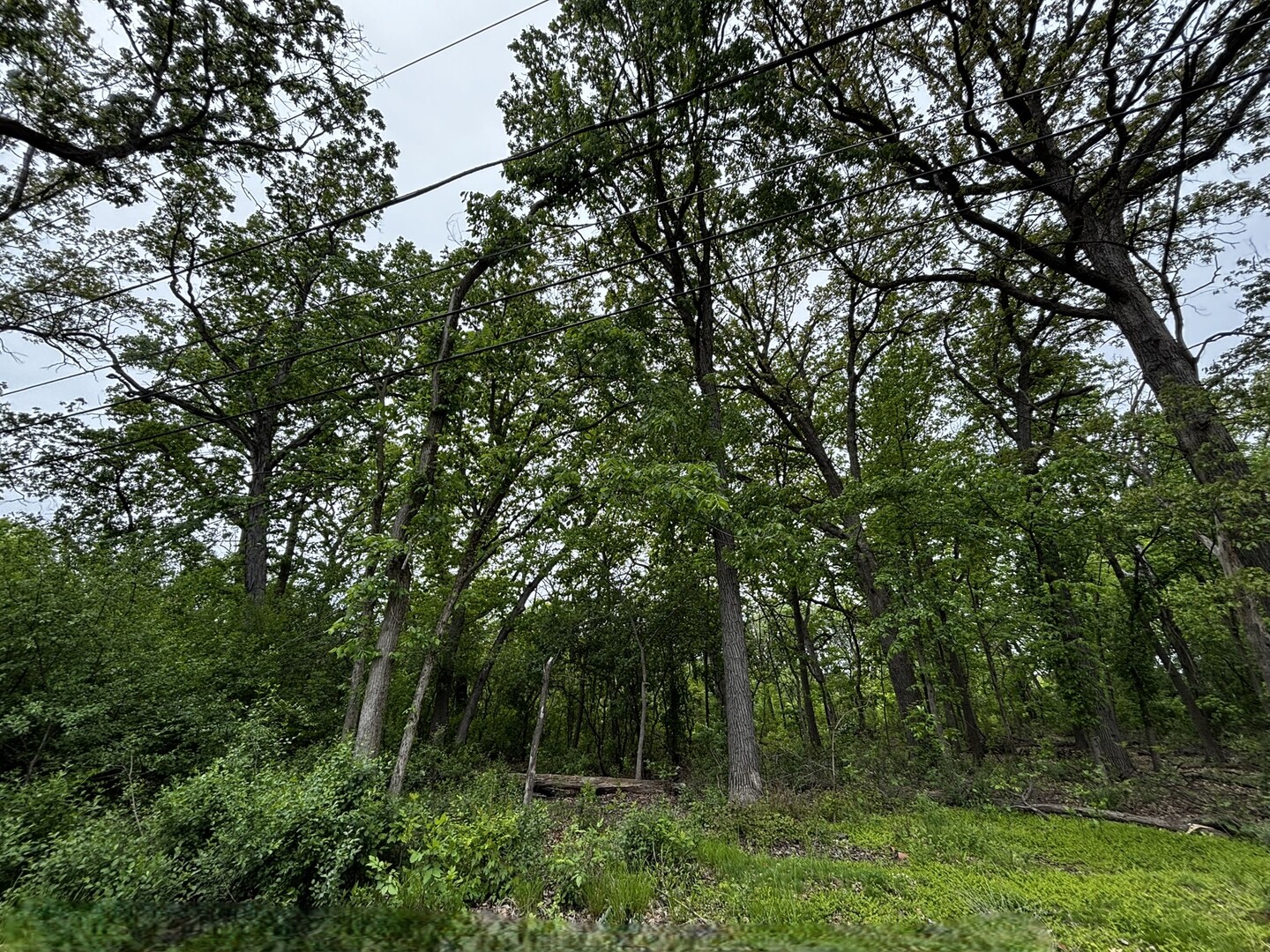 910 N Brainard Avenue, La Grange Park, IL 60526
