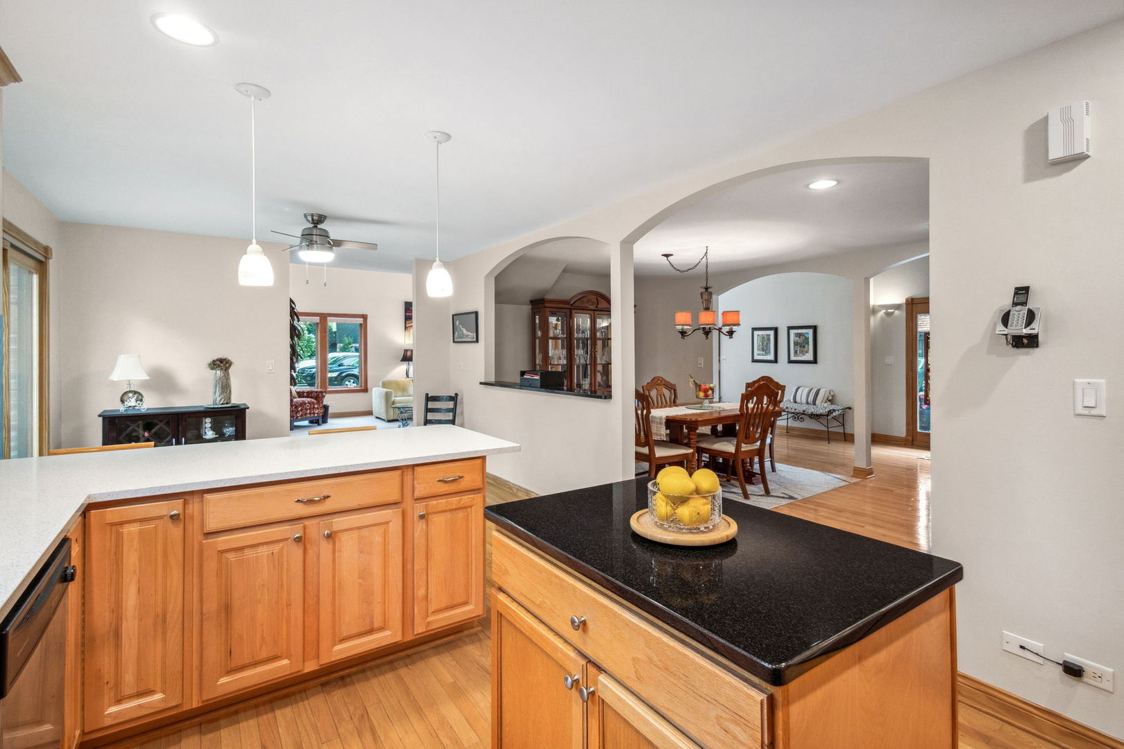 31a Lucas Drive, Palos Hills, IL 60465