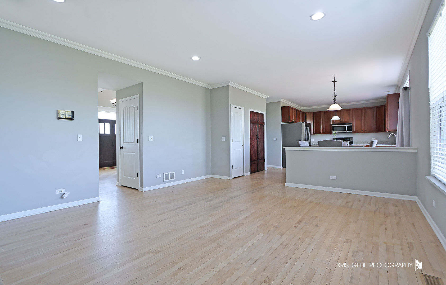 13464 W Hidden Springs Trail, Wadsworth, IL 60083