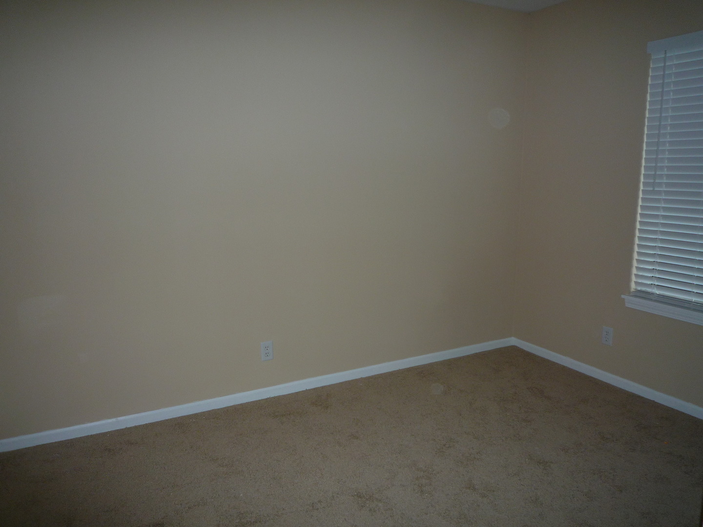 14039 S OAKDALE Circle, Plainfield, IL 60544