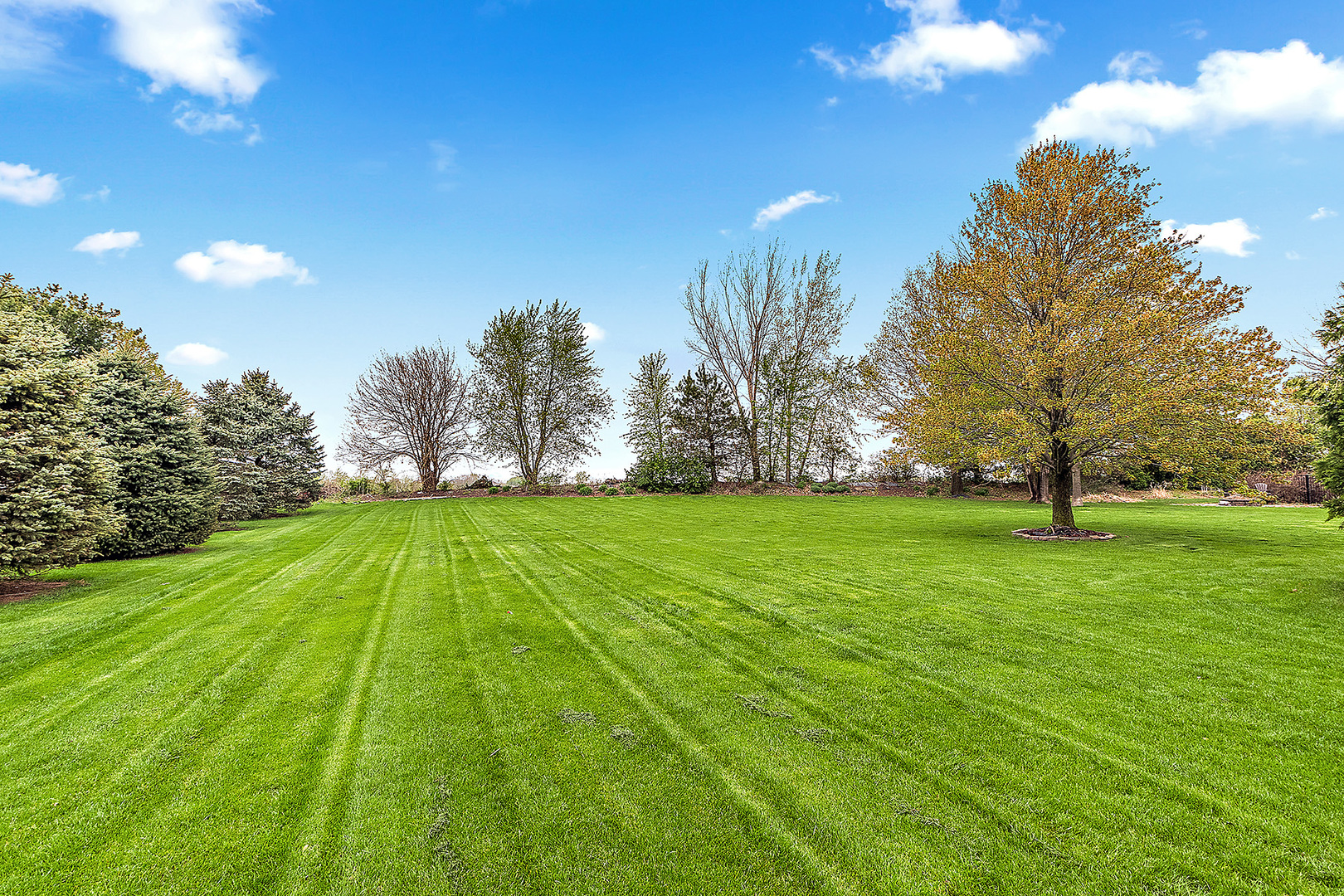 12318 W Donegal Lane, New Lenox, IL 60451