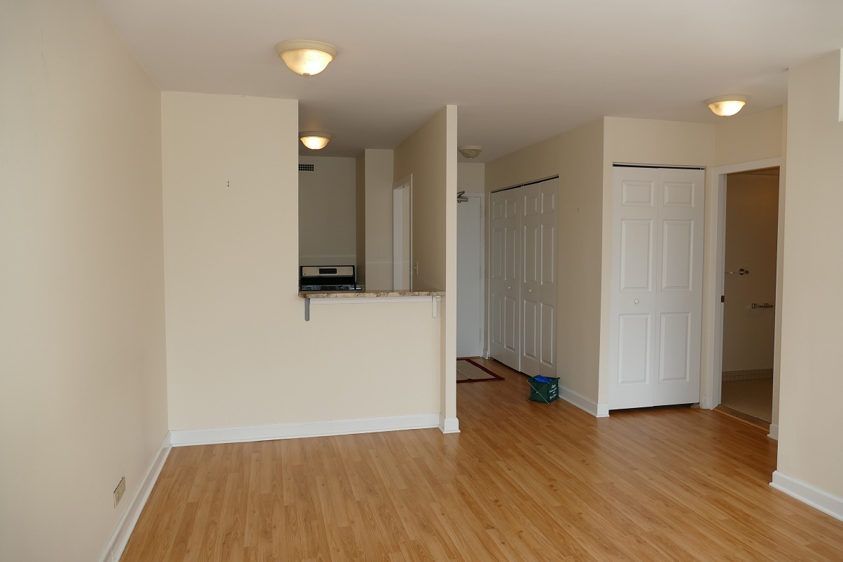 1460 N SANDBURG Terrace #509, Chicago, IL 60610
