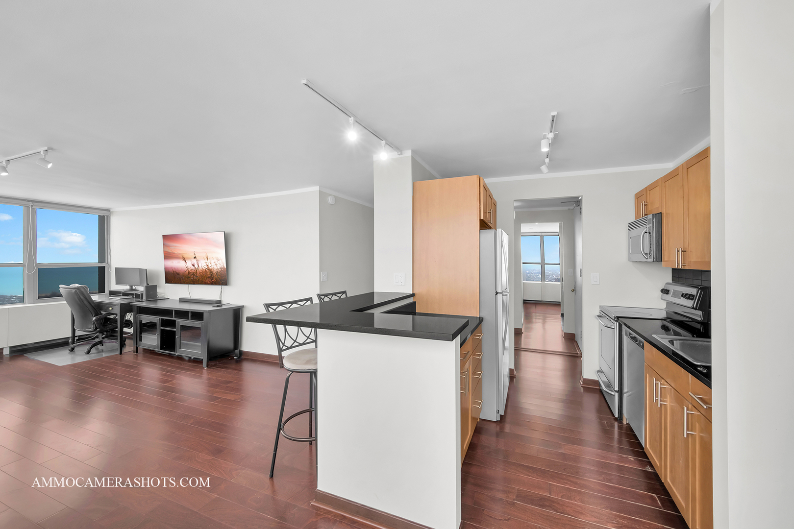 655 W Irving Park Road #3916, Chicago, IL 60613