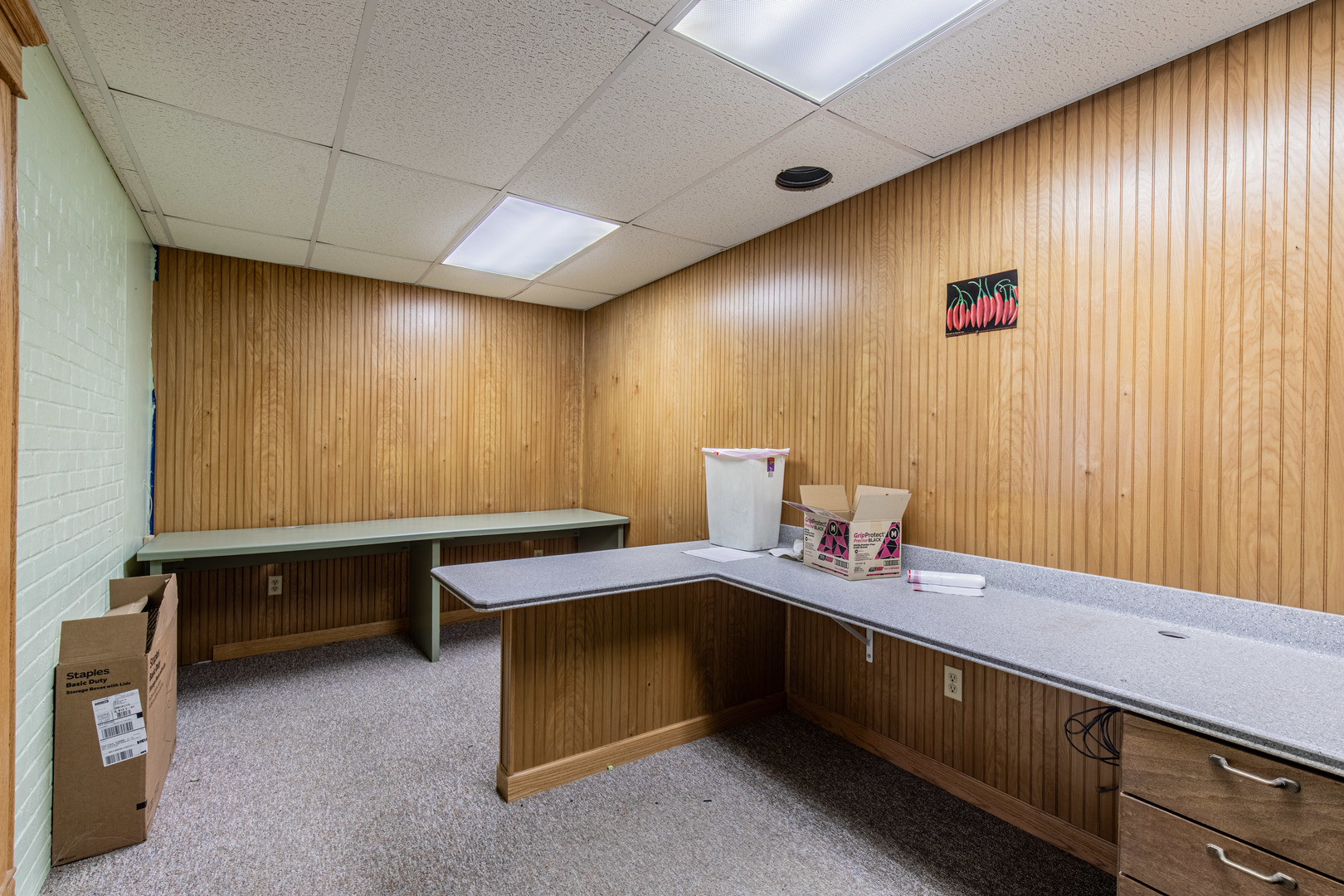 825 N Pleasant Street, Princeton, IL 61356