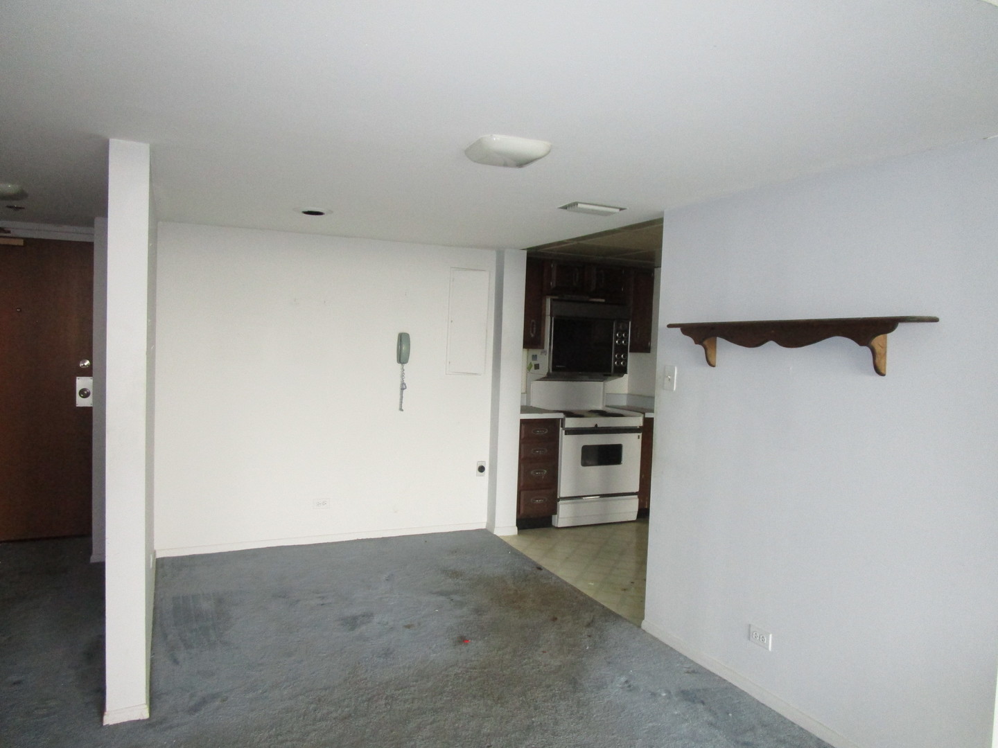 465 W Dominion Drive #1003, Wood Dale, IL 60191