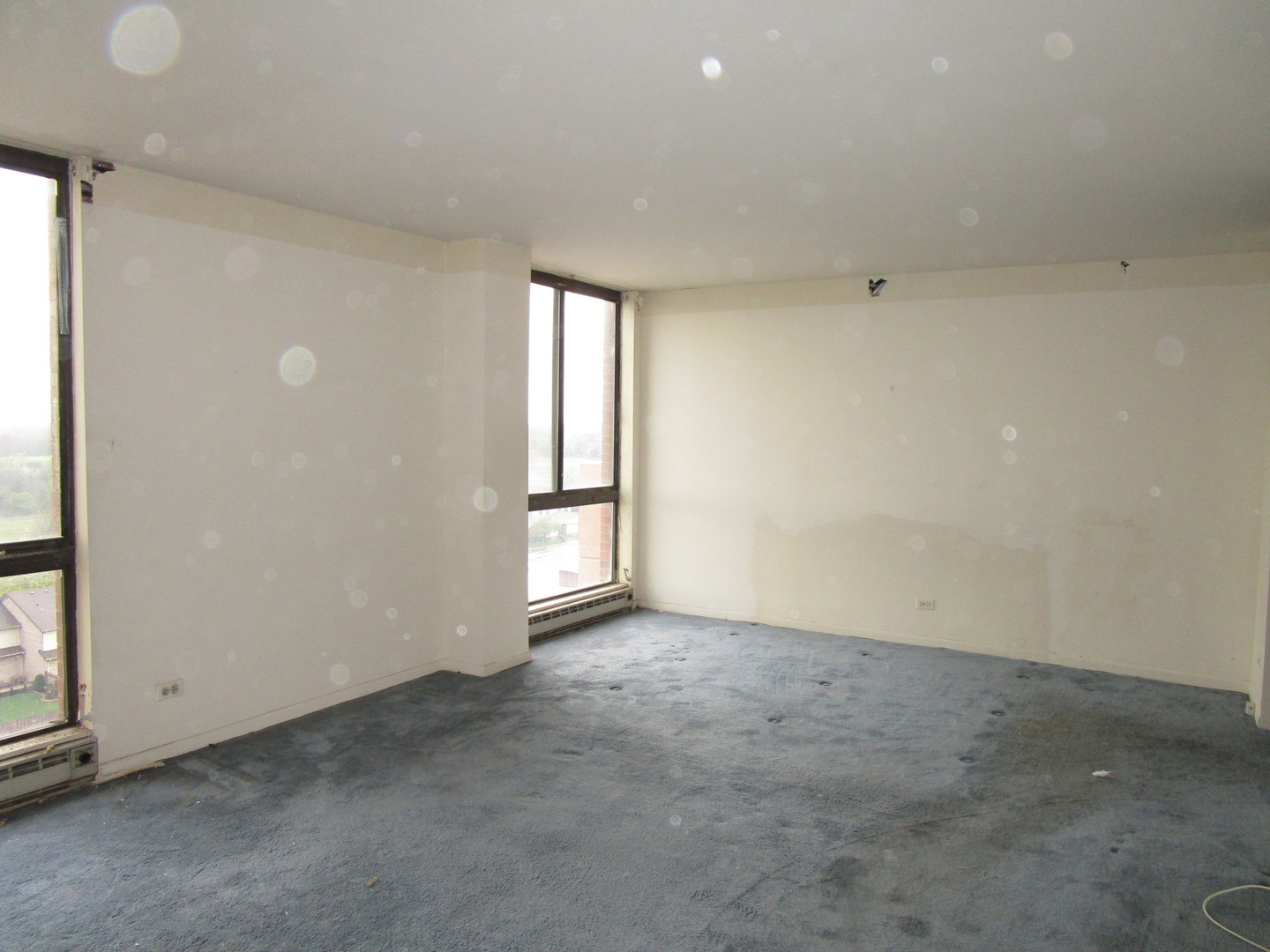 465 W Dominion Drive #1003, Wood Dale, IL 60191