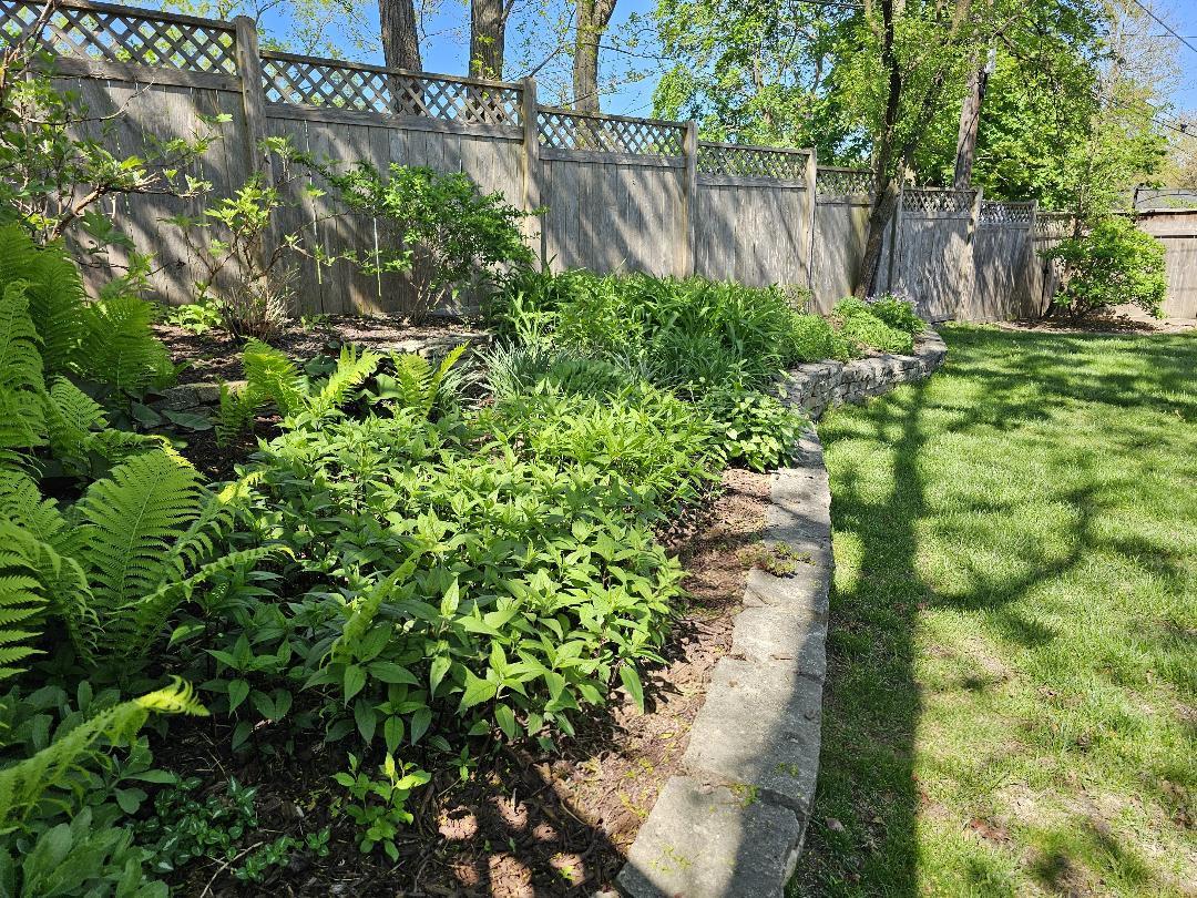 213 W Park Avenue, Wheaton, IL 60189