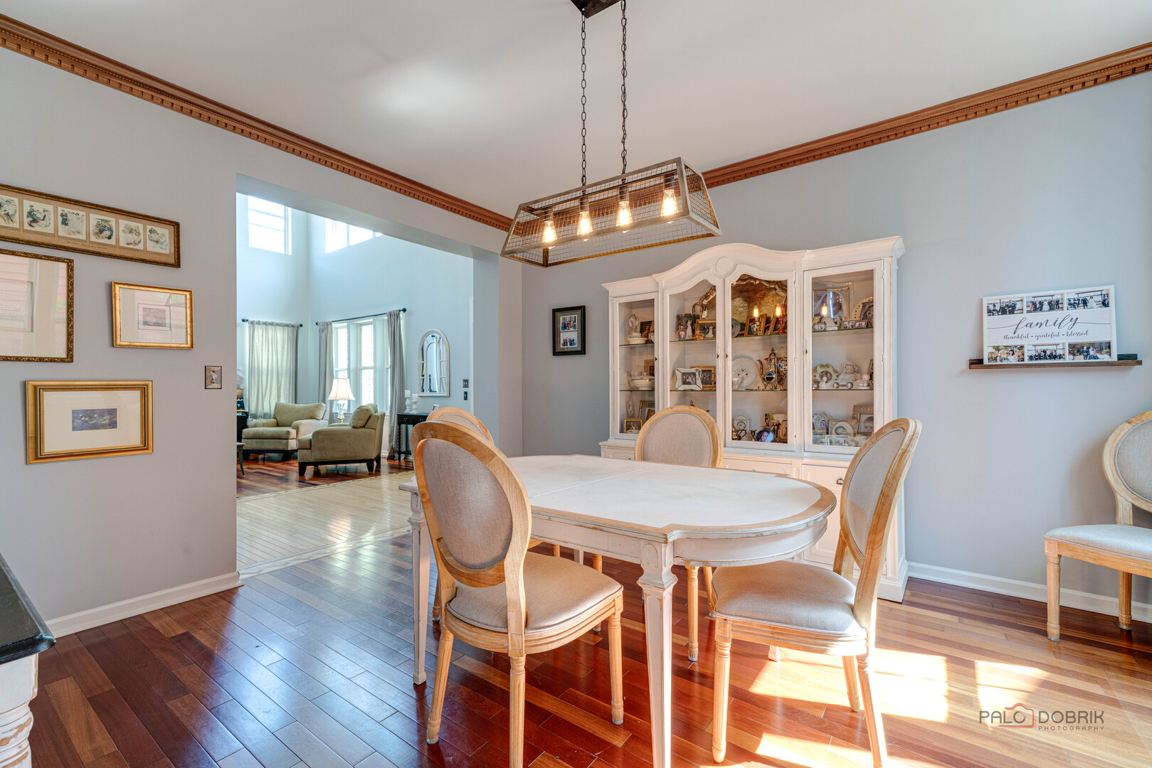355 Marseilles Street, Vernon Hills, IL 60061