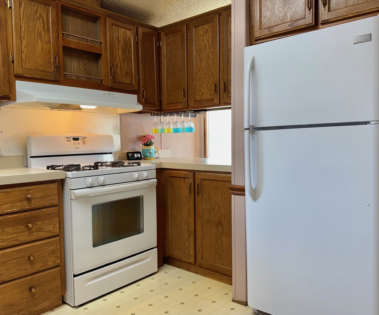 2993 Curtis Street #15, Des Plaines, IL 60018