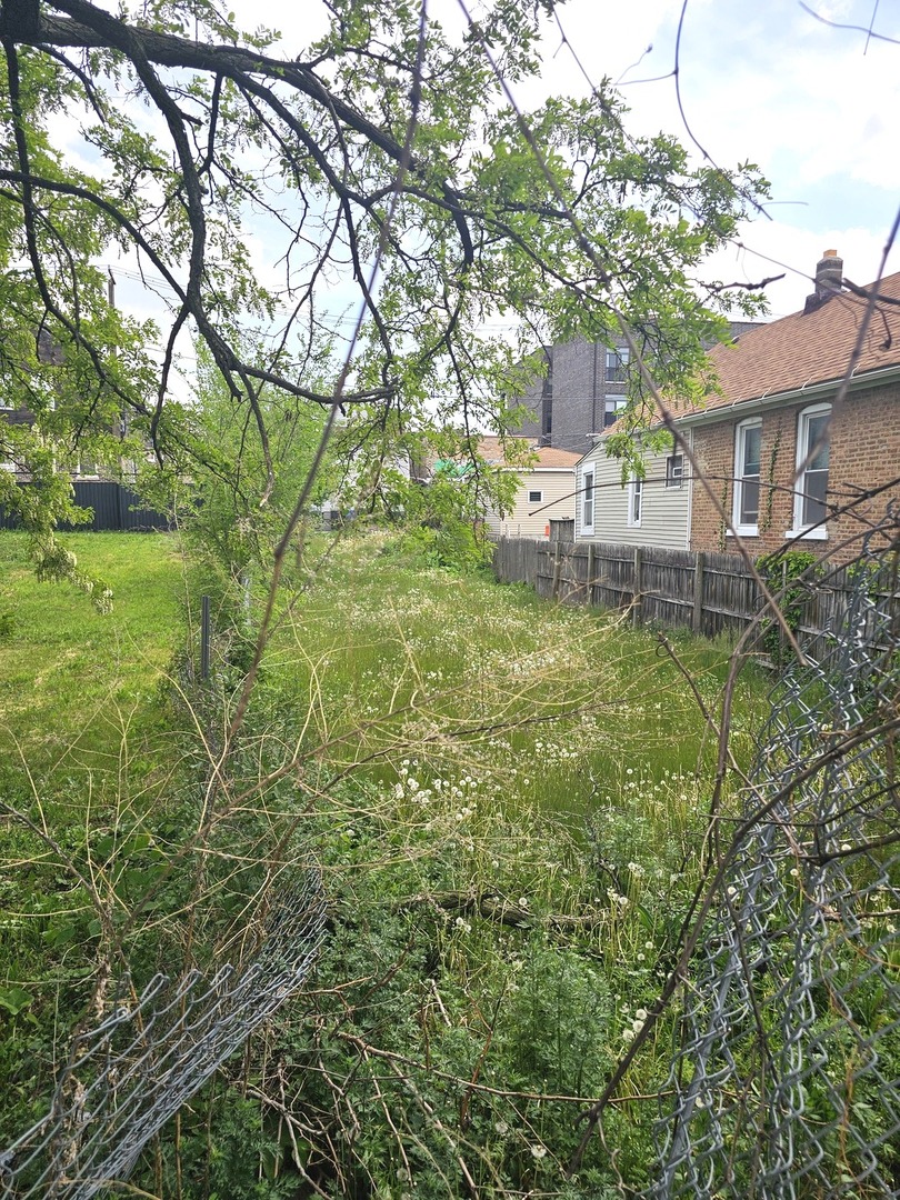 2029 W 17th Street, Chicago, IL 60608