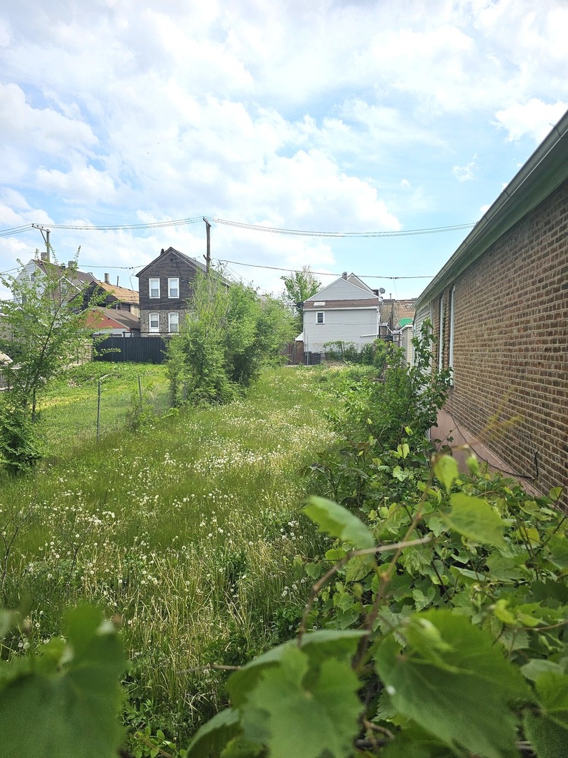 2029 W 17th Street, Chicago, IL 60608