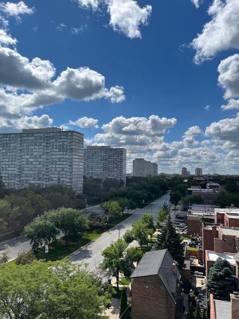 3100 S King Drive #903, Chicago, IL 60616