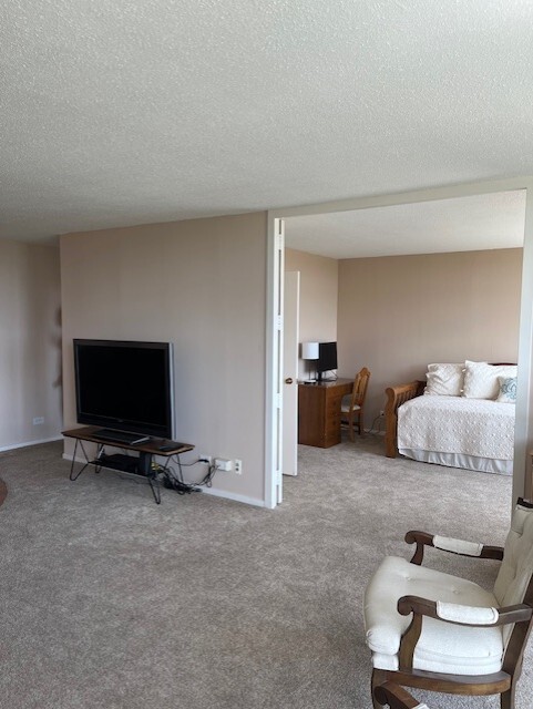 3100 S King Drive #903, Chicago, IL 60616