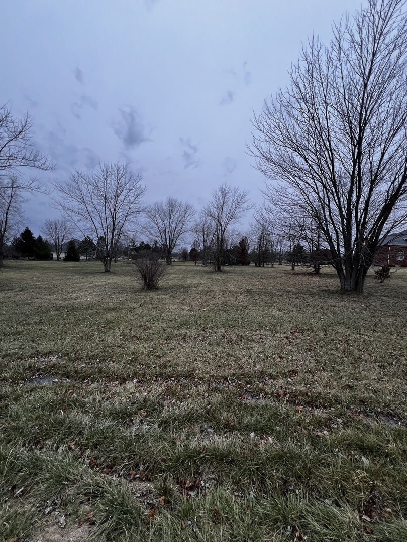4816 W Roberts Ridge Road, Monee, IL 60449