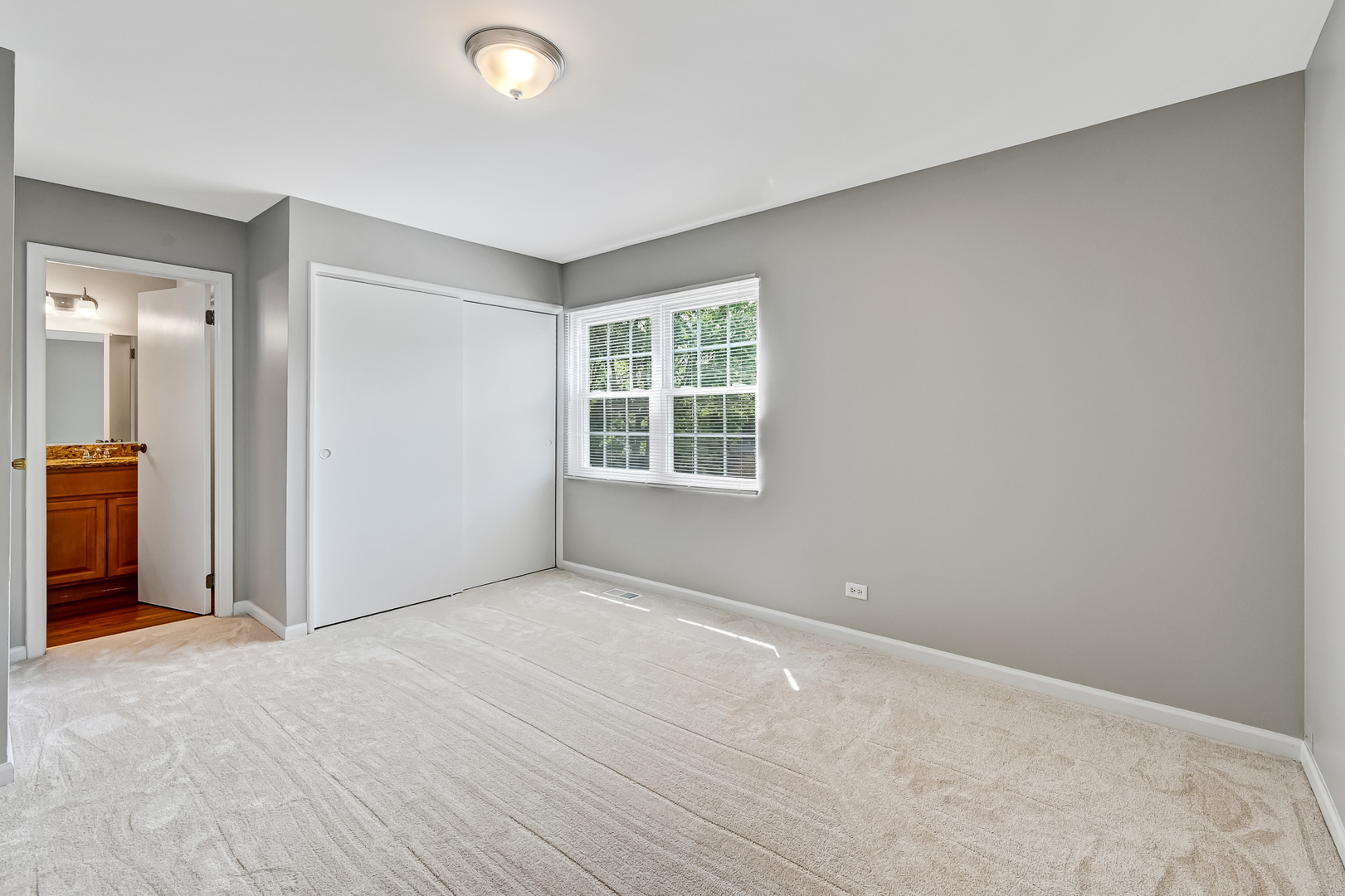 1400 Carleton Avenue, Naperville, IL 60565