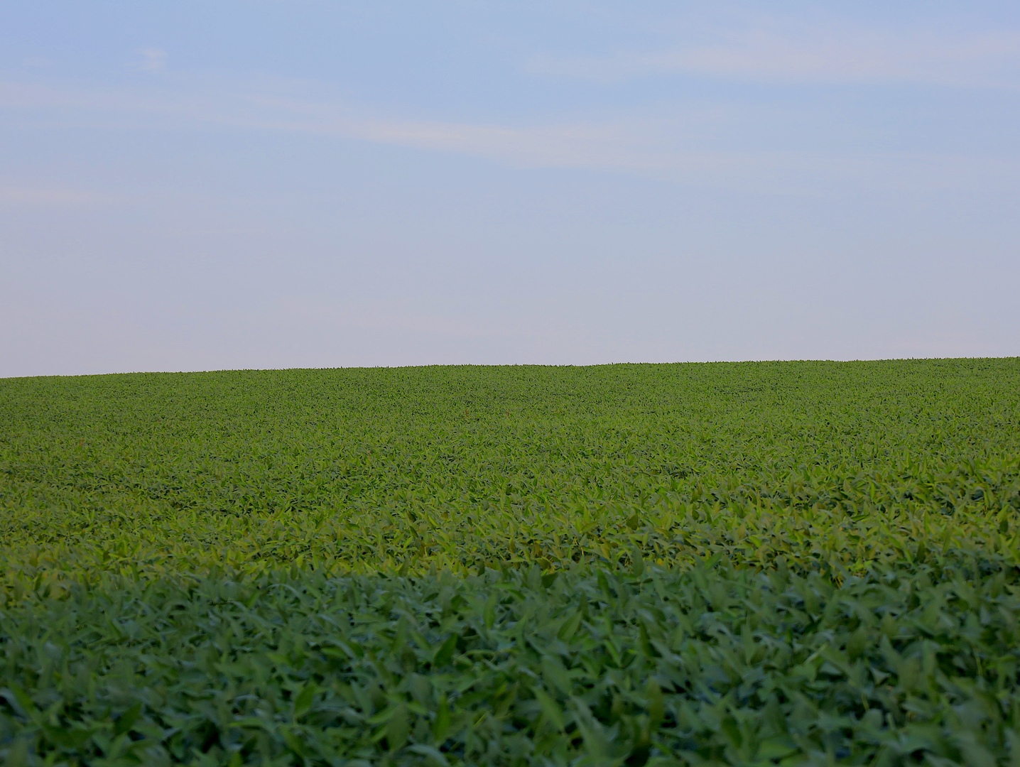 000 Sawmill Road, Blanchardville, WI 53516