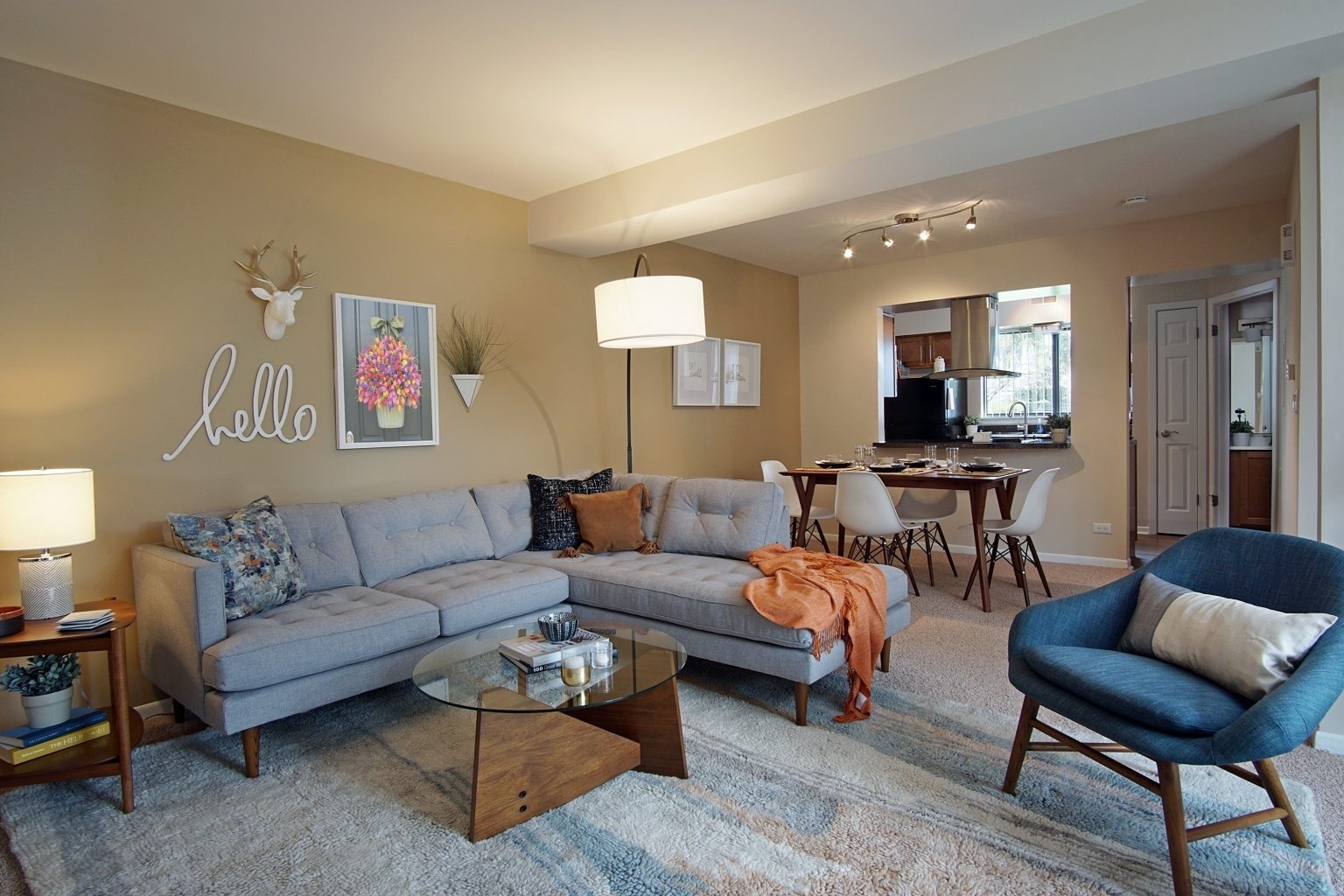 1637 Westminster Drive #101, Naperville, IL 60563