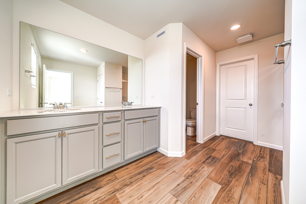 2283 Horseshoe Circle #10004, Naperville, IL 60564