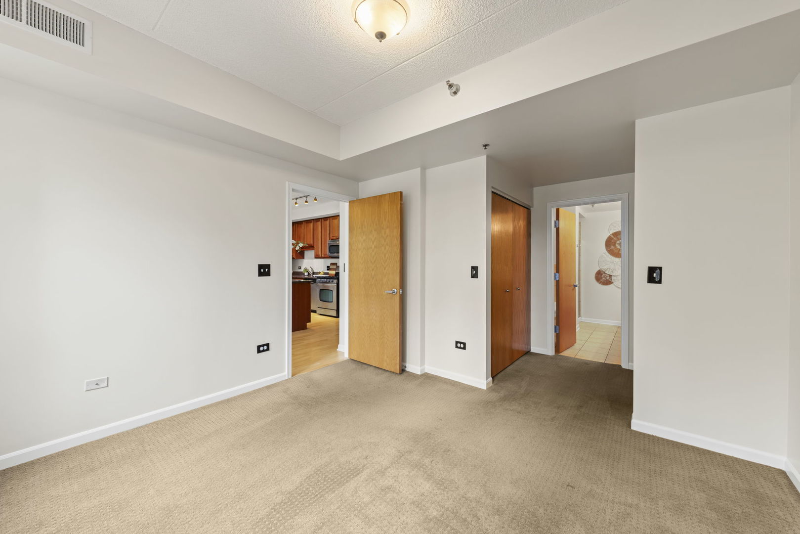 1250 S Indiana Avenue #205, Chicago, IL 60605