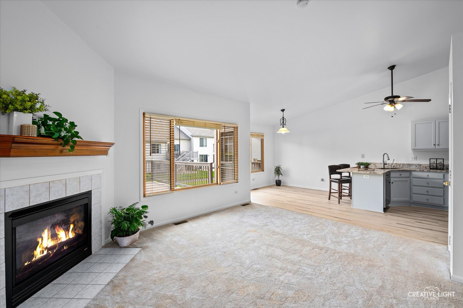 8243 Pecan Place, Frankfort, IL 60423
