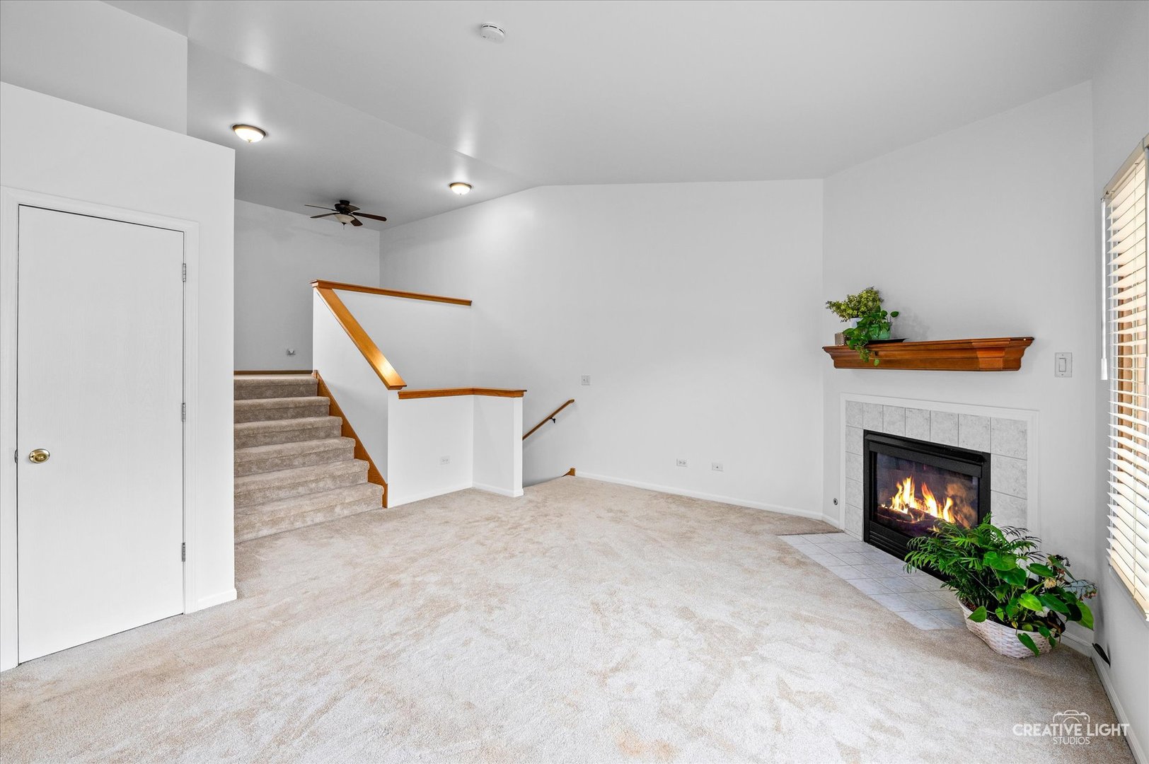 8243 Pecan Place, Frankfort, IL 60423