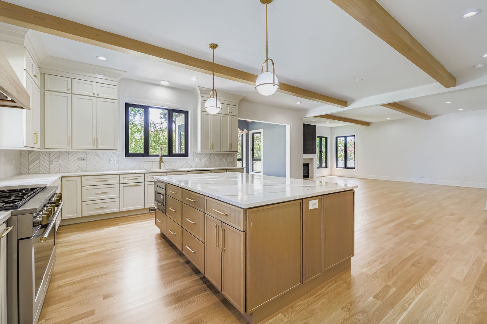 1627 N Evergreen Avenue, Arlington Heights, IL 60004