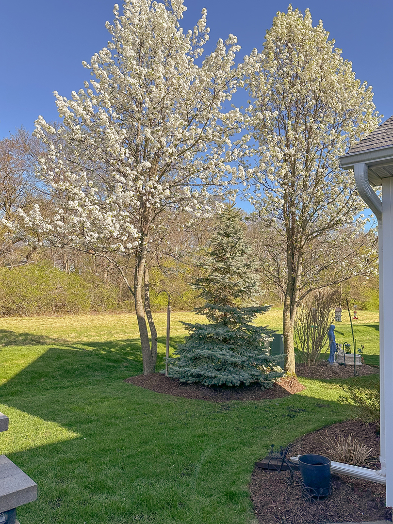 12370 RUSSET Lane, Huntley, IL 60142