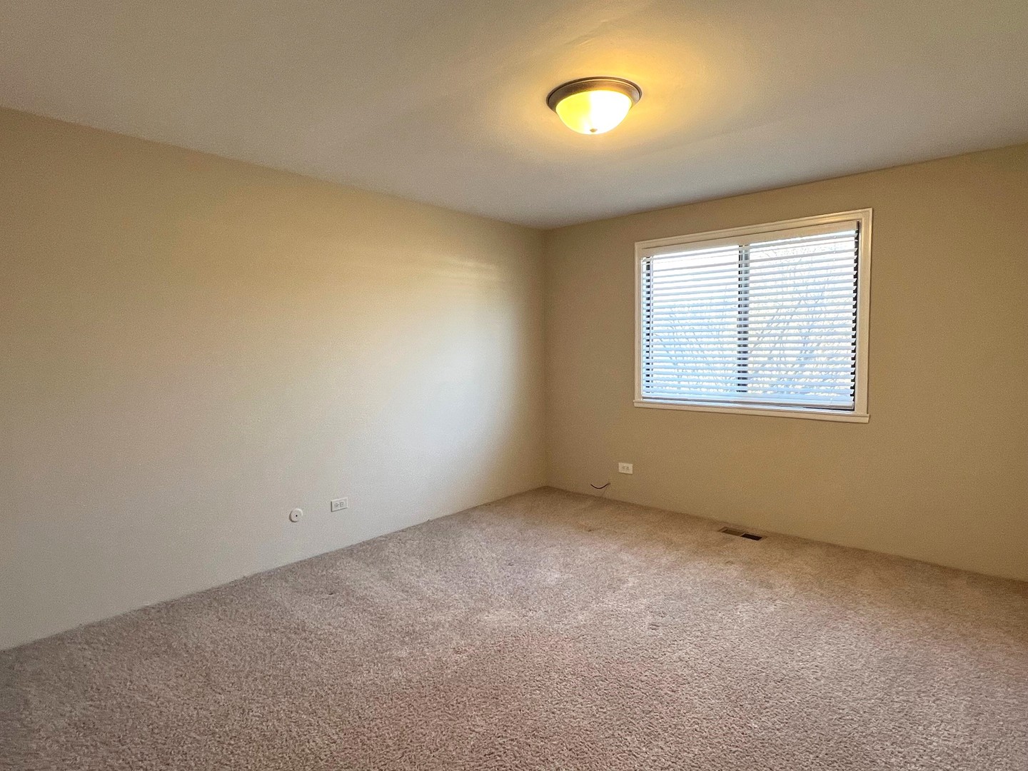 116 Cotuit Court #1312, Schaumburg, IL 60193