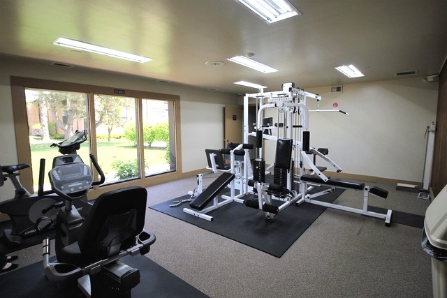 6179 Knollwood Road #208, Willowbrook, IL 60527