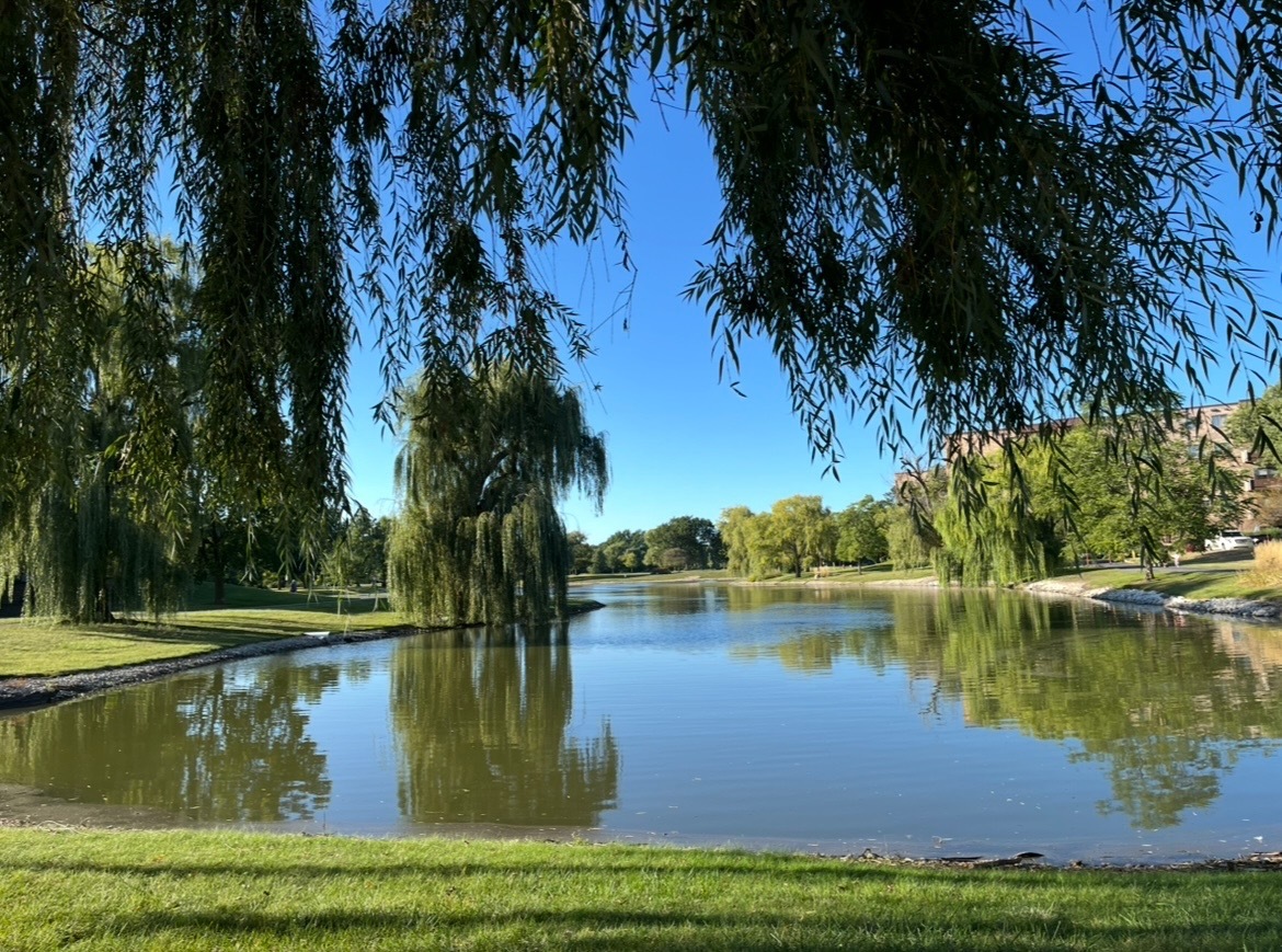 805 Leicester Road #103, Elk Grove Village, IL 60007