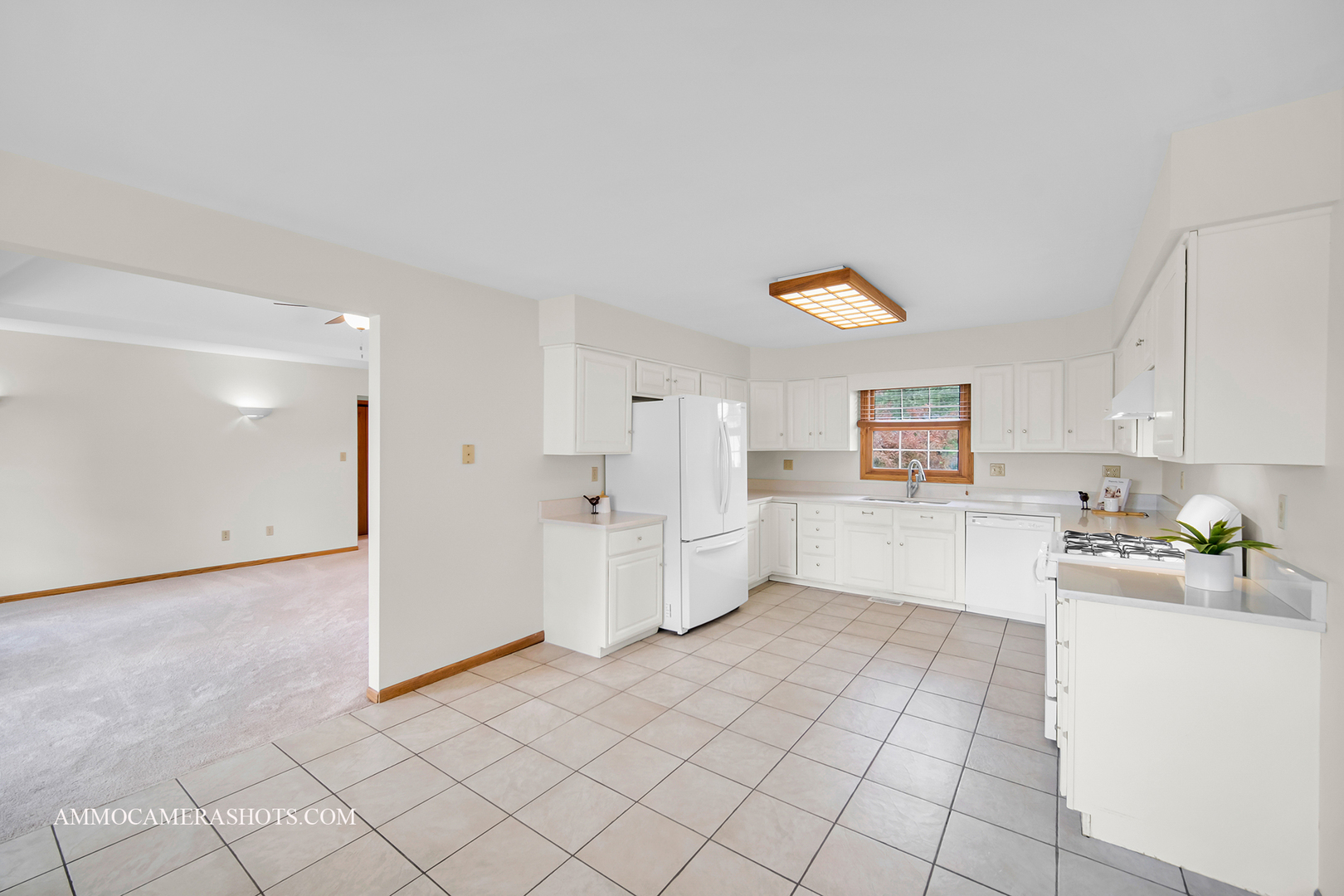 470 N Garfield Street, Coal City, IL 60416
