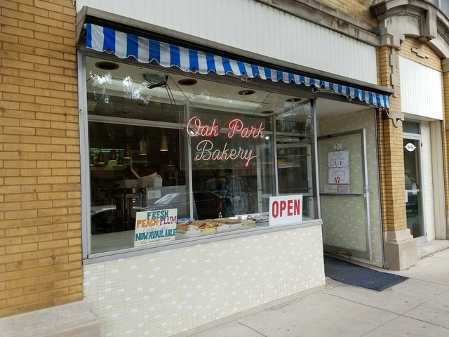 1003 S Oak Park Avenue #4, Oak Park, IL 60304
