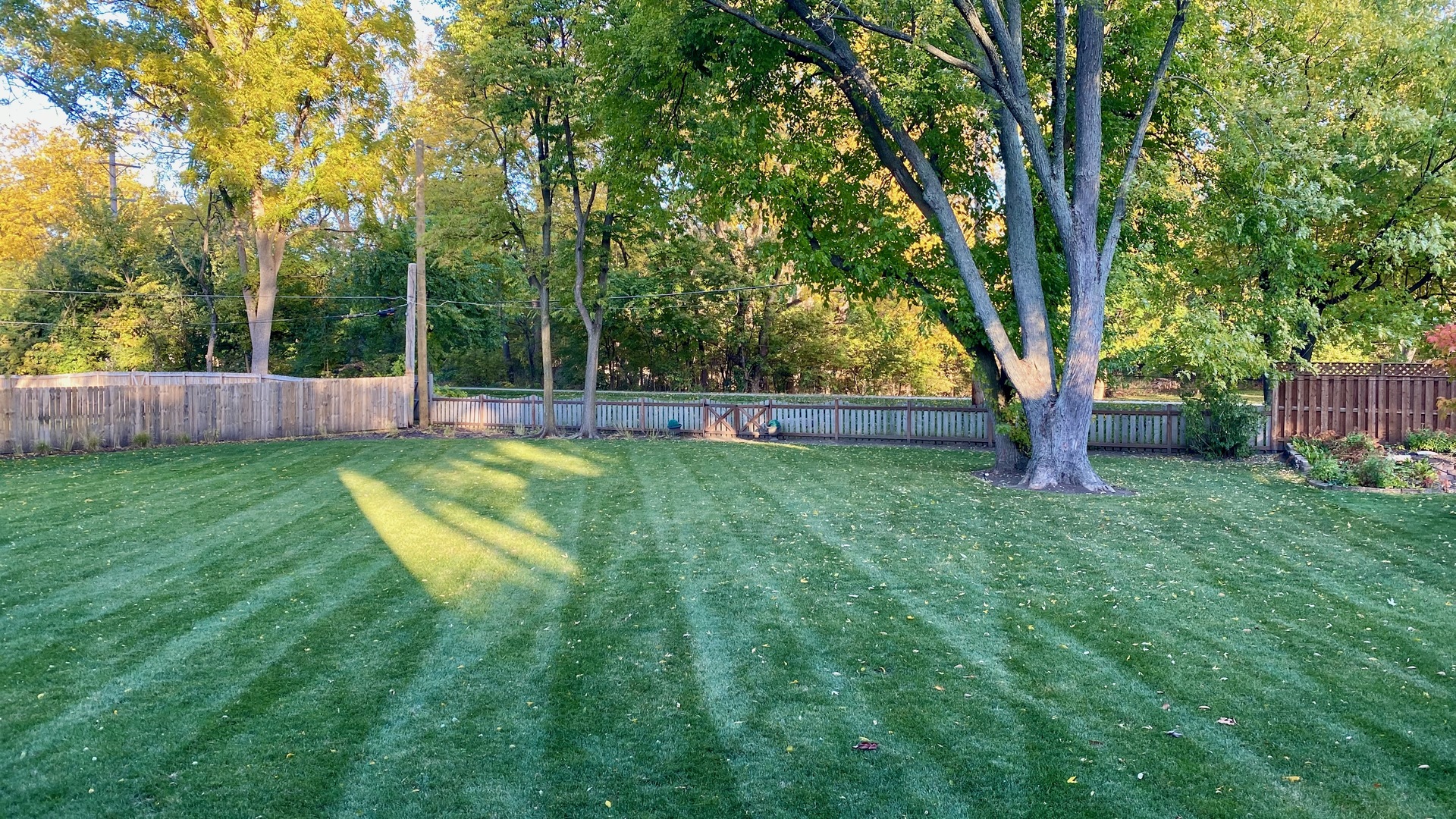 730 McKinley Avenue, Libertyville, IL 60048