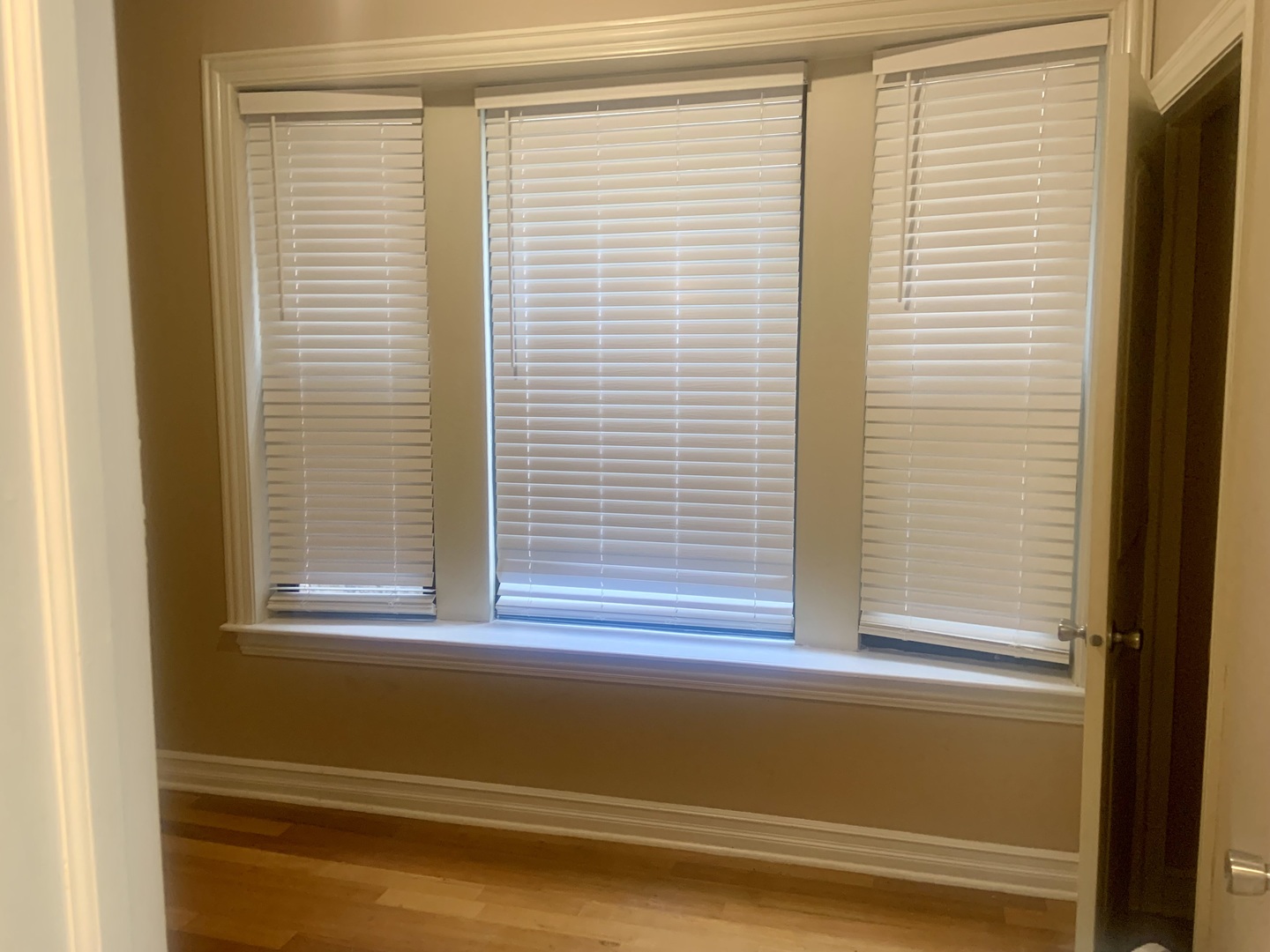 1363 E 64th Street #2, Chicago, IL 60637