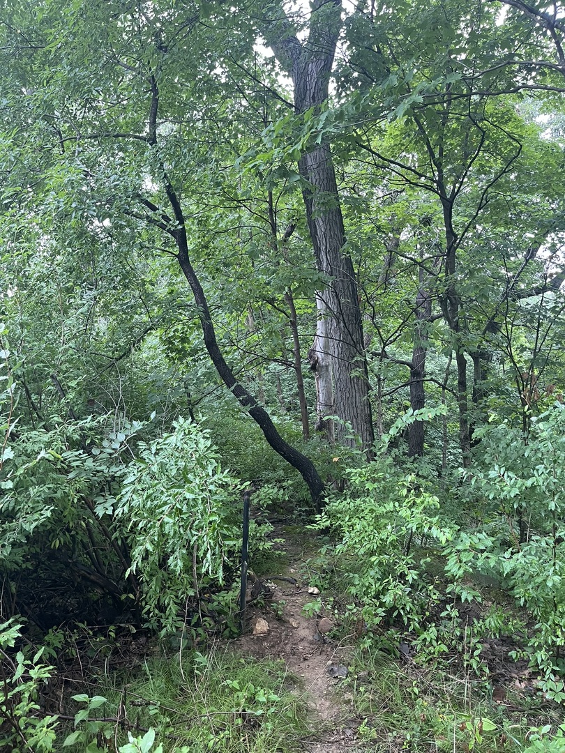 Lot 392 Lake Thunderbird WS 2 Drive, Putnam, IL 61560