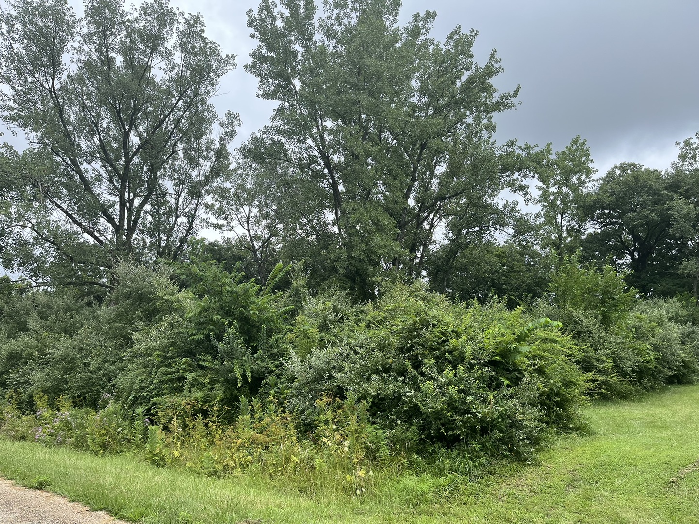 Lot 392 Lake Thunderbird WS 2 Drive, Putnam, IL 61560