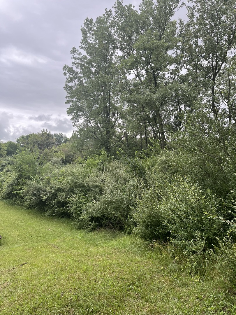 Lot 392 Lake Thunderbird WS 2 Drive, Putnam, IL 61560